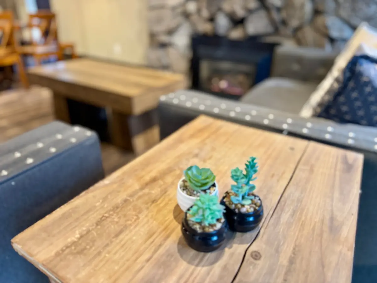 91c881f0 9608 487f b25b d2277727c0b9.jpeg