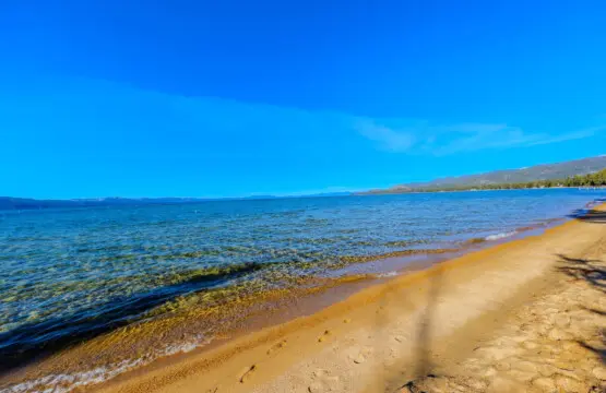 35854 454886 ULMrsXrIPW8TFGNw pYFQ6S5scx1y4rcW63rby Bw1k 69799ee97ae61.jpg