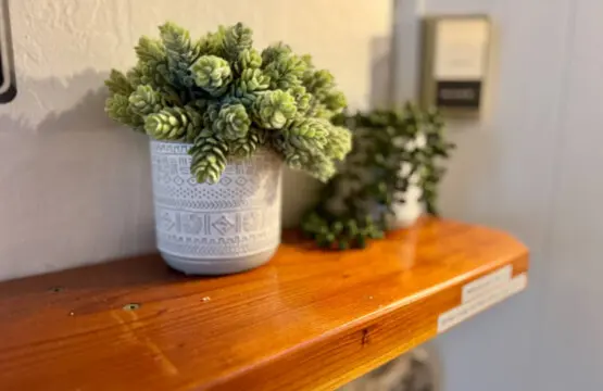 35854 458177 UAWyXoetAsndGzONhfKNekNGz5Lw HXE7lYPgUUmRtI 6926f1078b0b1.jpg