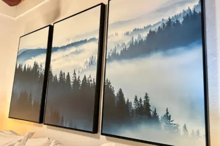 35854 469324 Cq95B5fD6f0Nn0hZHKeNnopuTogVgQ2N0pBUmPhKFg 694df56636154.jpg