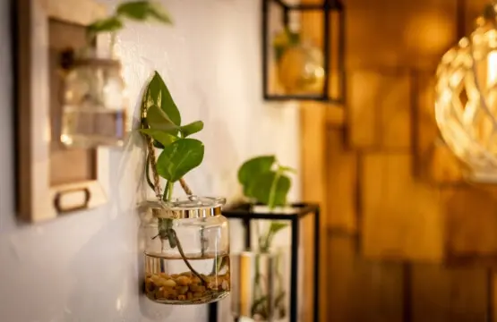 35854 474759 JWFZW gOkBpsUlhxTPU1KOKb2zRA5LfcguvJ6FhOcmo 6963c66d29121.jpg