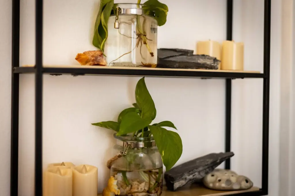 35854 474759 OXnSrljJEIpxMnzGel9UX5ZpI5axSQMDLOtoHmr48nY 6963c67bb173a.jpg