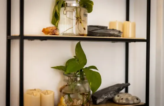 35854 474759 OXnSrljJEIpxMnzGel9UX5ZpI5axSQMDLOtoHmr48nY 6963c67bb173a.jpg