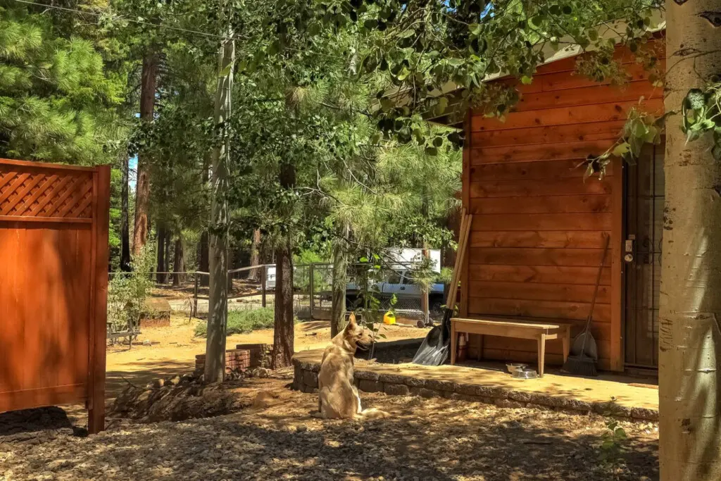 35854 474759 vlPMg vjJO 8DnAhRzCC2ucvrlJLERxESfskAIweIIs 69634756e3fb5.jpg