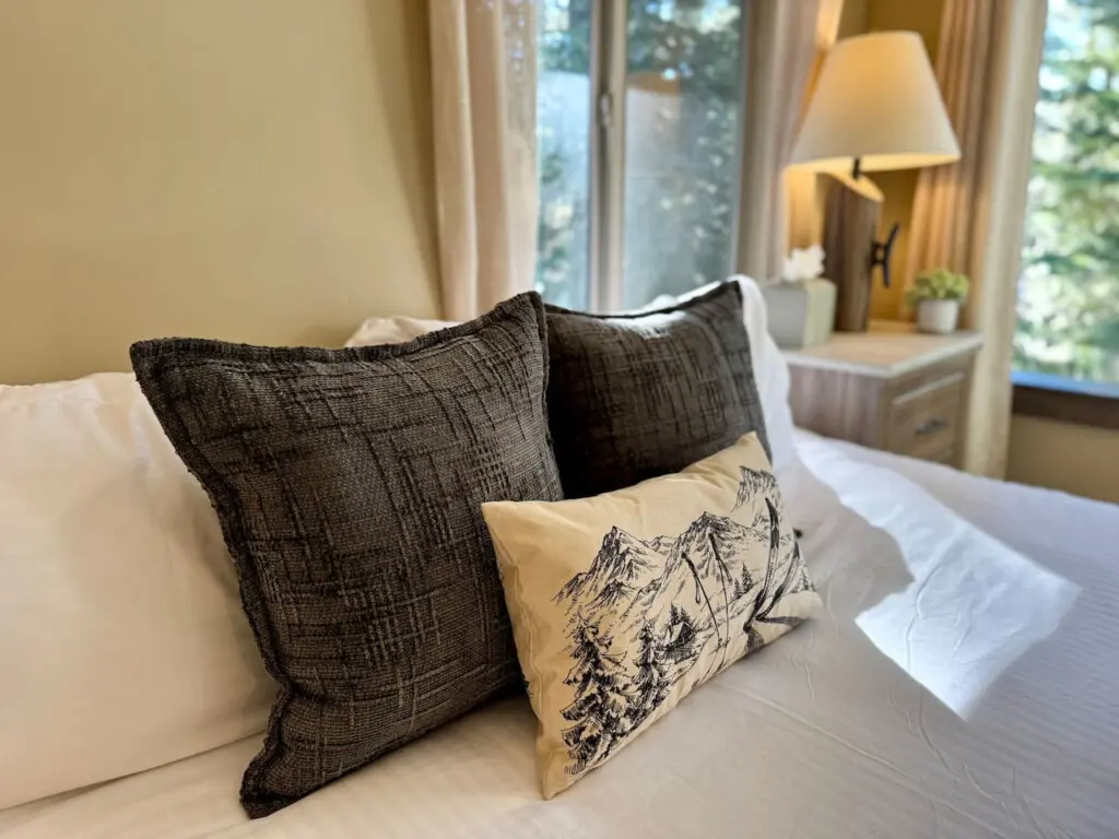 35854 467253 8V9CFQYUqMXRgOYoiYX3wVNfJVByllQ8nC6oJ8gg96g 698d50cb6e18e.jpg