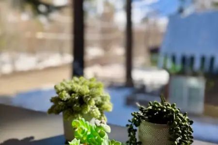 35854 467253 BF3pj3wM0E79czI 55dGK366g9YehpI85Rp2oZc4u74 698d436c4326d.jpg