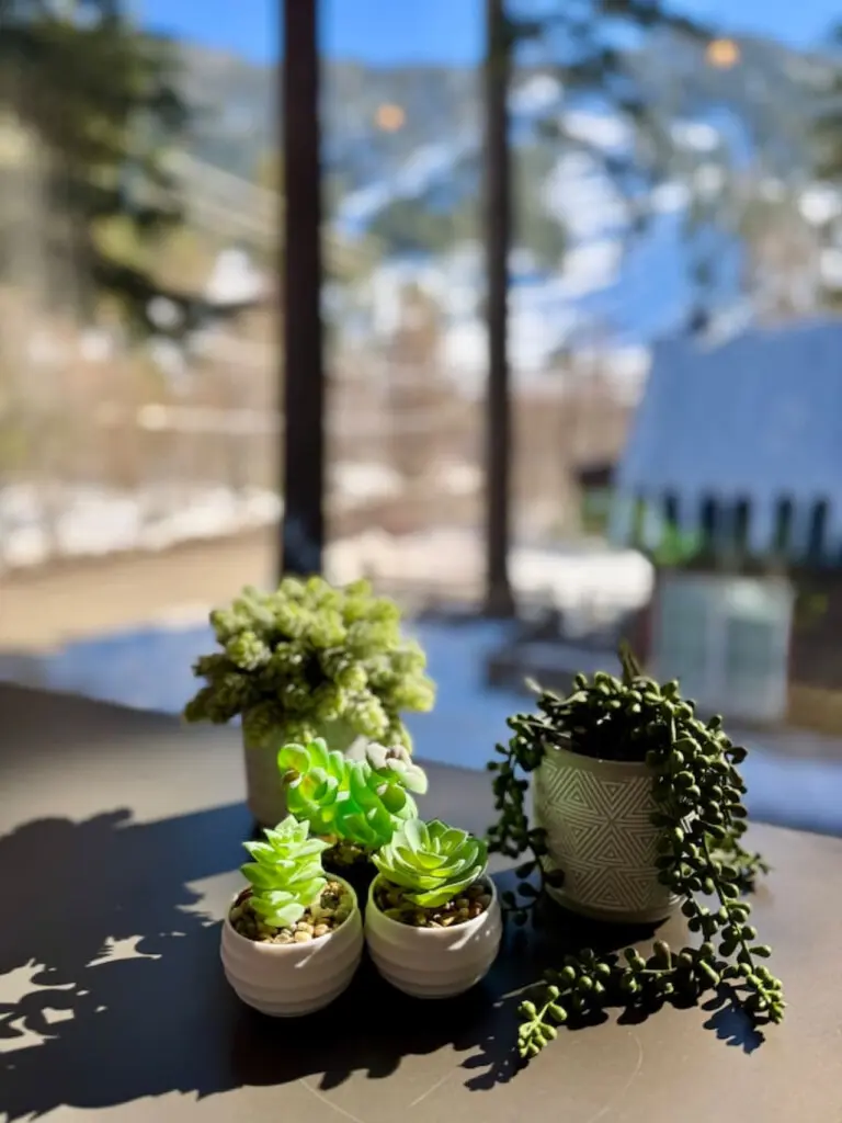 35854 467253 BF3pj3wM0E79czI 55dGK366g9YehpI85Rp2oZc4u74 698d436c4326d.jpg