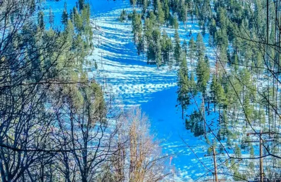 35854 467253 Uh8dUiWsexQgmAr4MNMnwX80YFbnJ jpHk4pASV2J9w 698d435a2105c.jpg