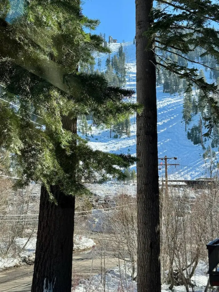 35854 467253 j45EzrADimA3h8XsIsDkJMjDZvBS6lBPGd4z8TpR7yc 698d43742f730.jpg