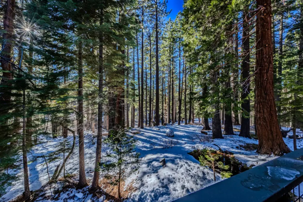 35854 467253 ysx Kfjrvcm8b5MgdlJIUMeqQjeLEPoLGa qg G7nR8 698d4361ae27e.jpg