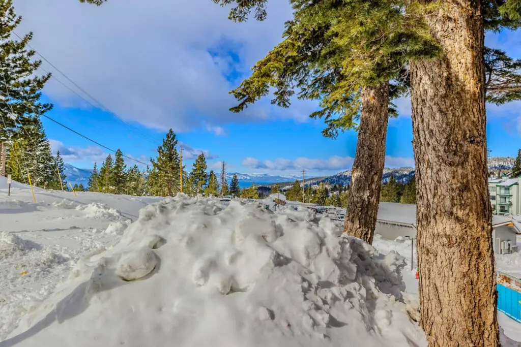 35854 469324 8Cci6yxCYPp6 Rg054oBPsQhpxzSCKe svw dUGMm0U 697ee54634ca8.jpg