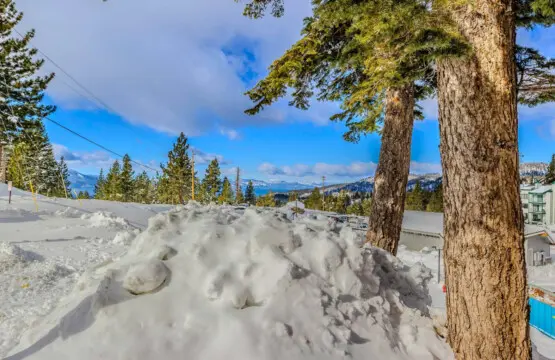 35854 469324 8Cci6yxCYPp6 Rg054oBPsQhpxzSCKe svw dUGMm0U 697ee54634ca8.jpg