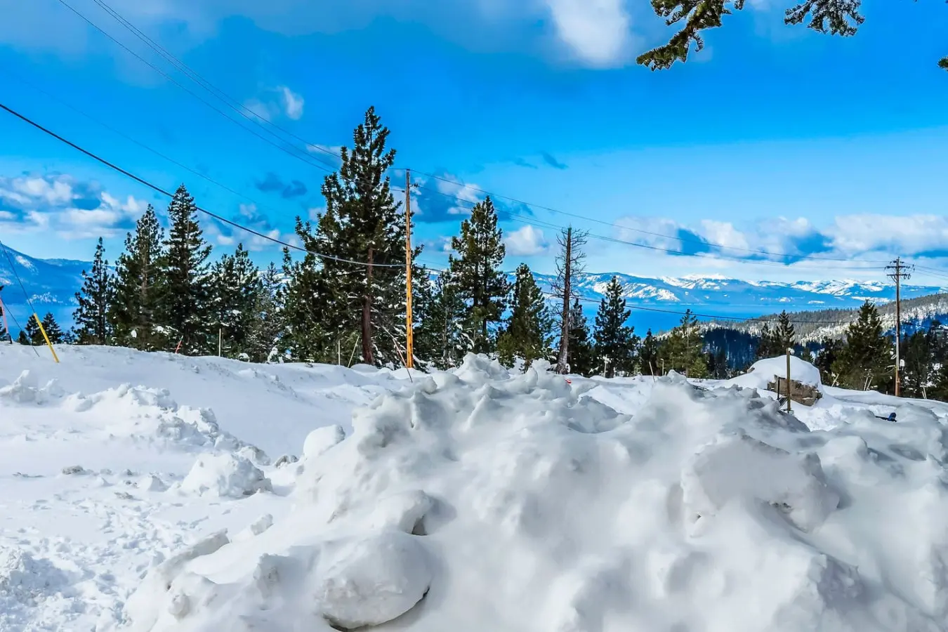 35854 469324 usoZBnkNgvGK7xAD22mQhVsE8H3t3XUFdSptvc nZqs 697ee54bdd1d7.jpg