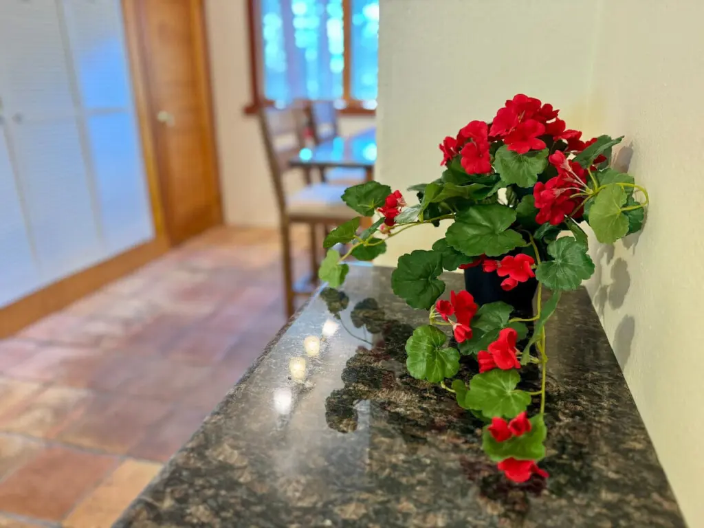 35854 499271 EluJ7sWkET YtfFGMAeFRMuxg9kyYtKTWwT57tG2vcQ 69bda4fc734ba.jpg