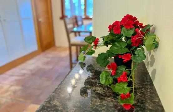 35854 499271 EluJ7sWkET YtfFGMAeFRMuxg9kyYtKTWwT57tG2vcQ 69bda4fc734ba.jpg