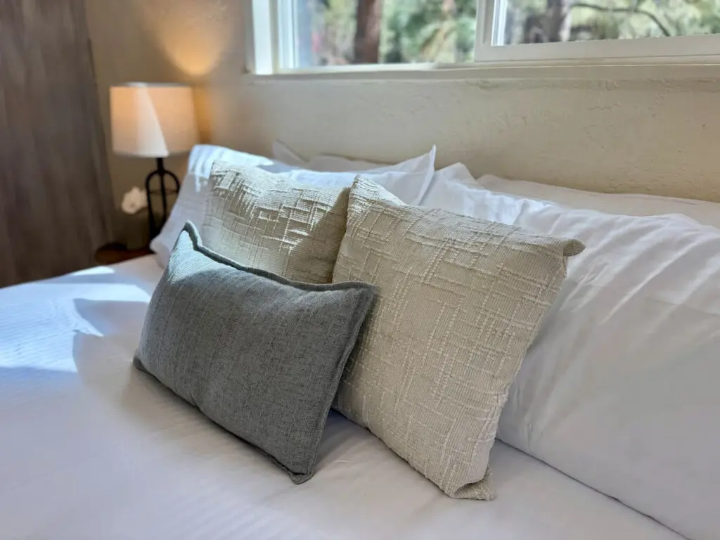 35854 499271 xvdPZhBVtYc4r0ltd7R2RQV8KsZWphNv09H3d6UptE8 69bd94e7bf769.jpg