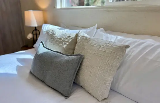 35854 499271 xvdPZhBVtYc4r0ltd7R2RQV8KsZWphNv09H3d6UptE8 69bd94e7bf769.jpg