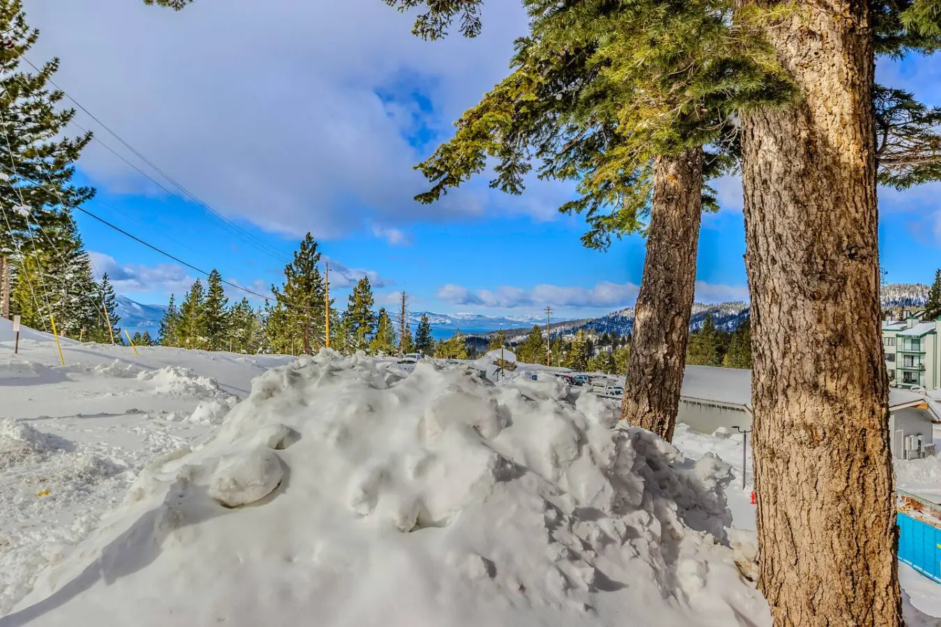 35854 509577 kjUMrbtboA4etqK0dy6xMYlTM9SEvQ OCt1GkLH6gMs 69dfe57c3e9d1.jpg