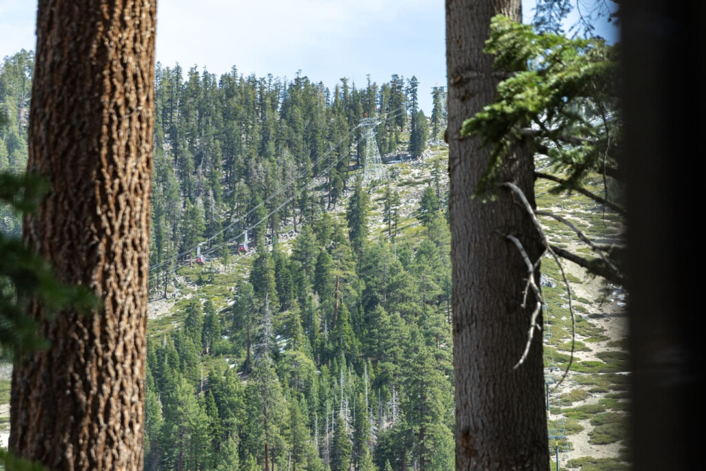 35854 514471 pFU3svc36LFRF nBrZsu6 TvvM2bAKAXacoy95wMcbM 69f2209c6637d.jpg