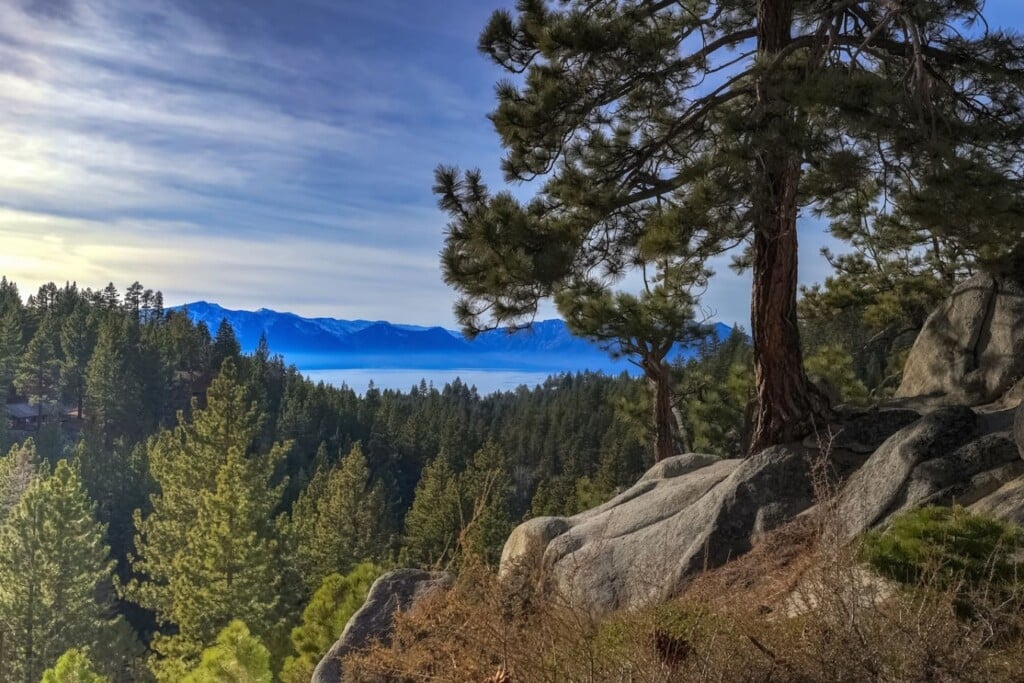 35854 214333 w9VAXTO2F8sgCm3i ioOUa7WVnFiu52SLi2 ffnuh6s 6a6a998c649fb.jpg