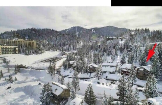 35854 256983 mYwwByXLcLnWGrlPSIzzNo3jvN9QWlfNWQ8NgUuyXSc 6a740dde833d9.jpg